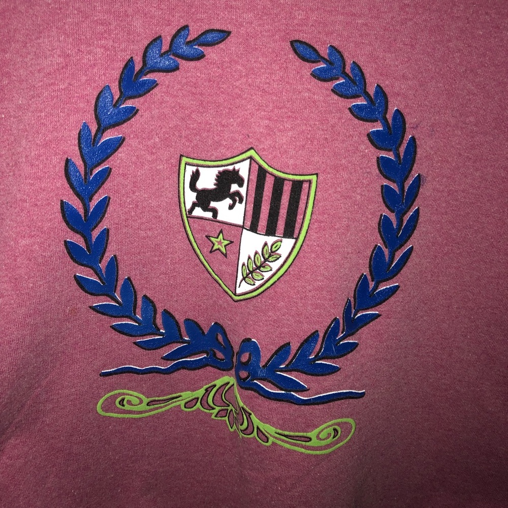 Pink Sweatshirt - Picture 2 of 4